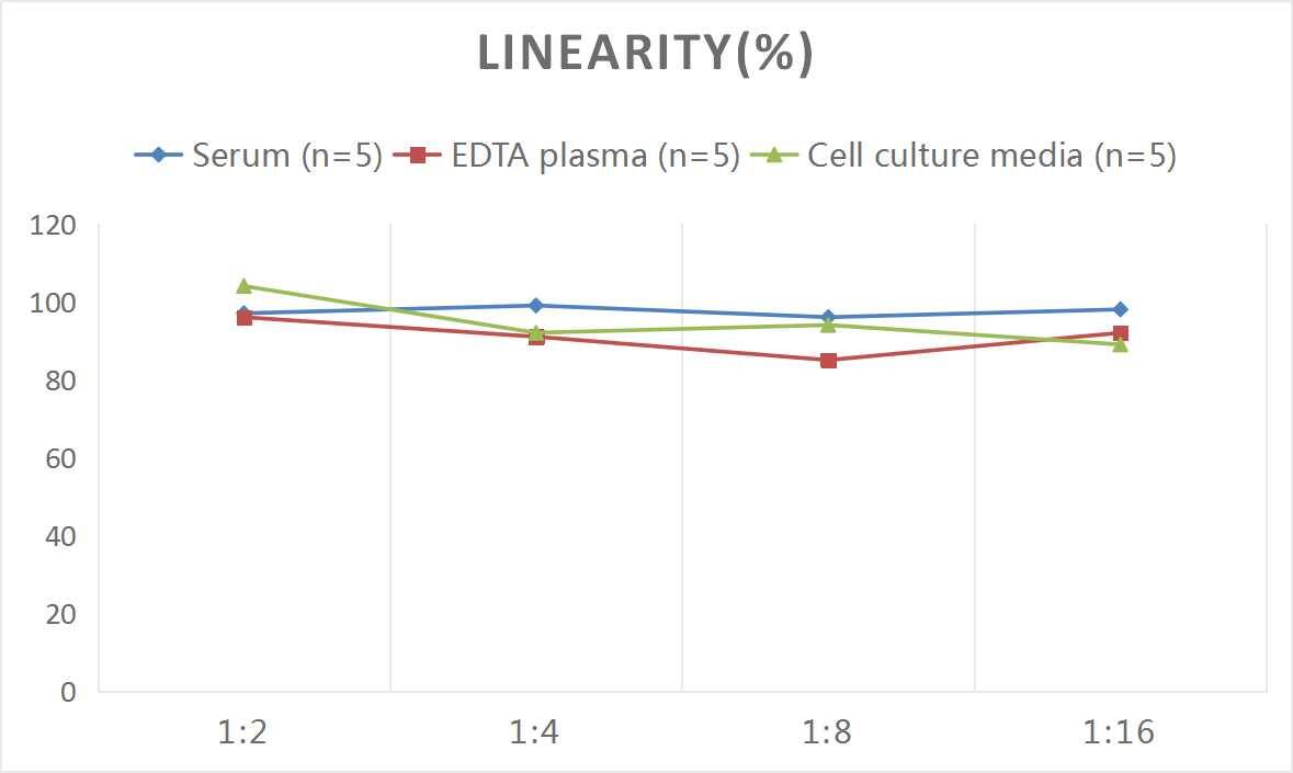 Mouse MMP-12 ELISA Kit (Colorimetric)