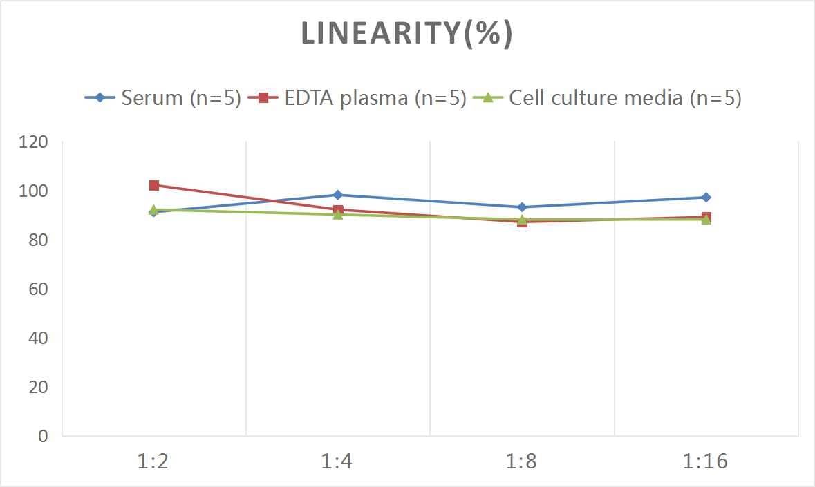 Rat MMP-12 ELISA Kit (Colorimetric)