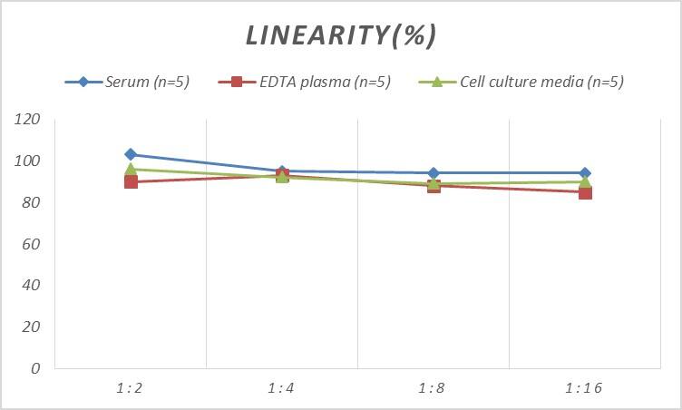 Human MMP28 ELISA Kit (Colorimetric)