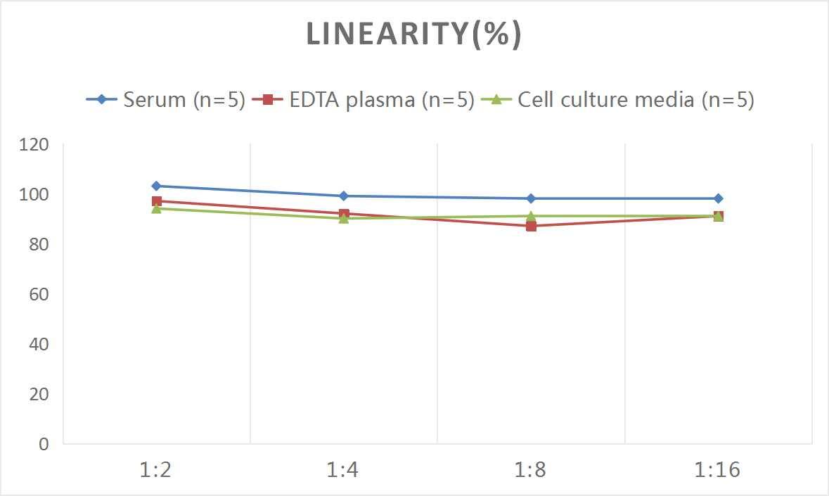 Rat IL-5 ELISA Kit (Colorimetric)