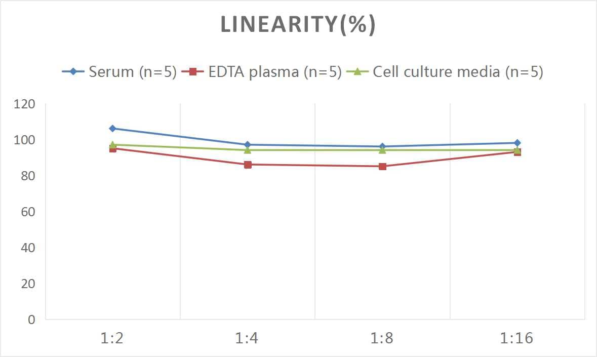 Human IL-4I1 ELISA Kit (Colorimetric)