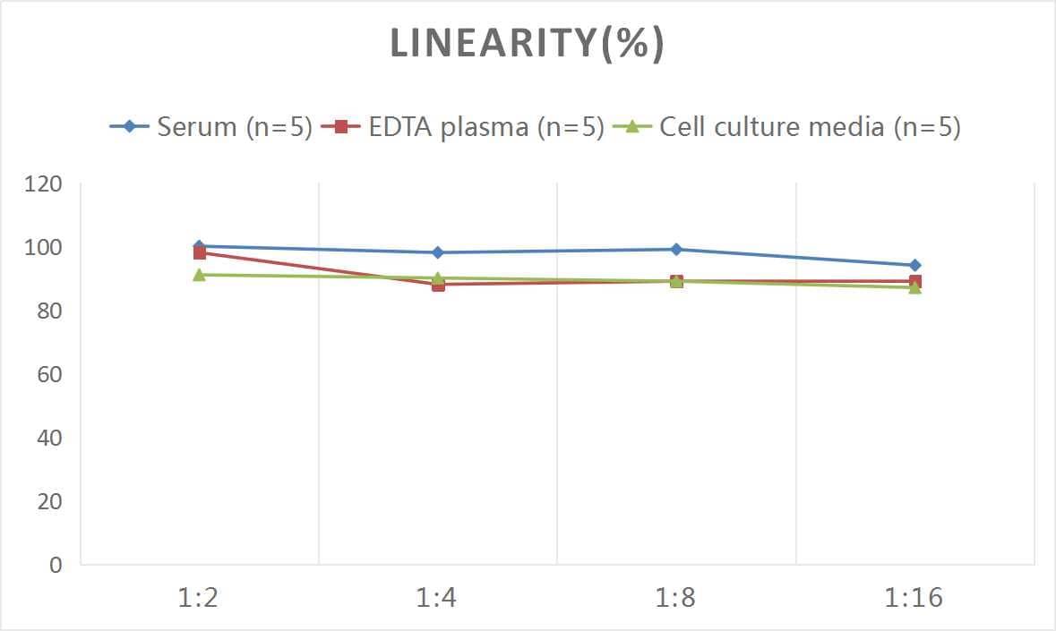 Human IL-35 ELISA Kit (Colorimetric)