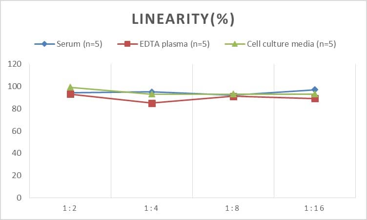 Rat CTLA-4 ELISA Kit (Colorimetric)