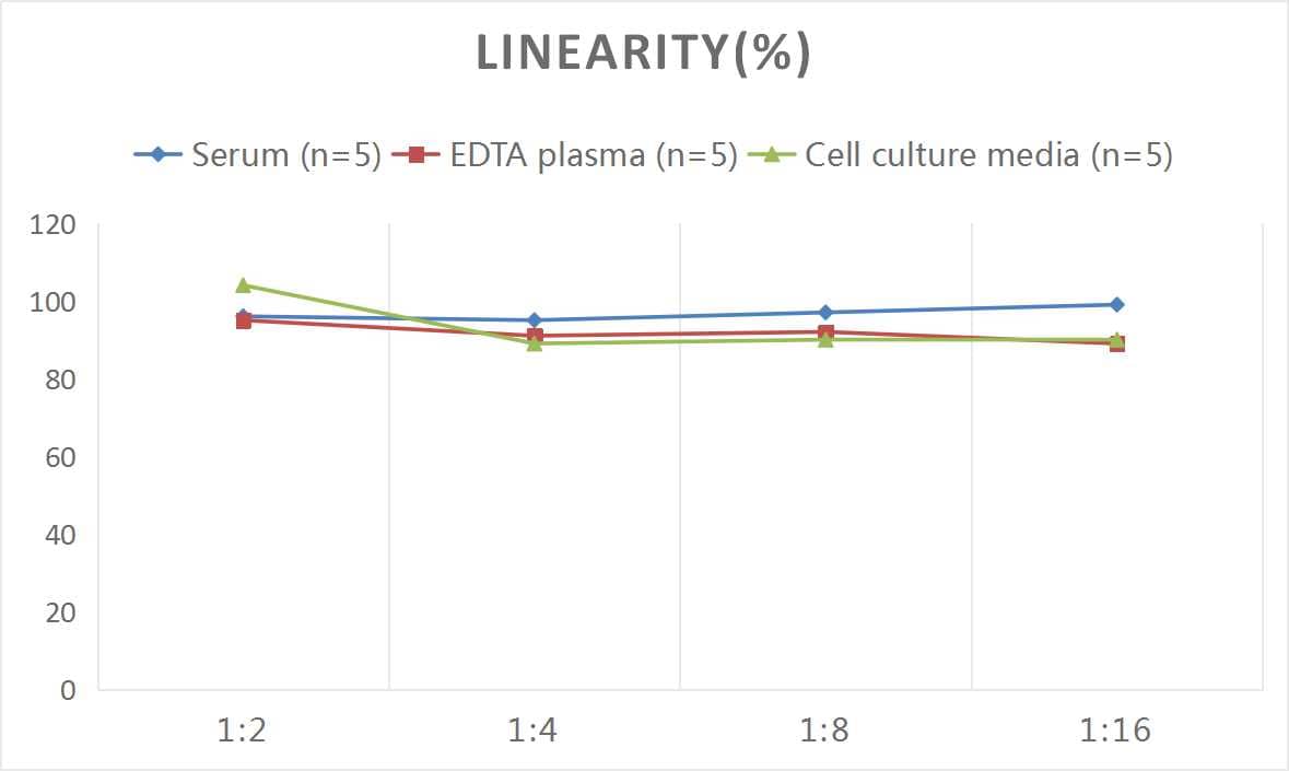 Rat IL-21 ELISA Kit (Colorimetric)