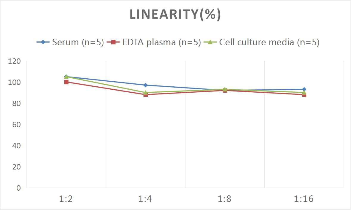 Rat IL-23 ELISA Kit (Colorimetric)