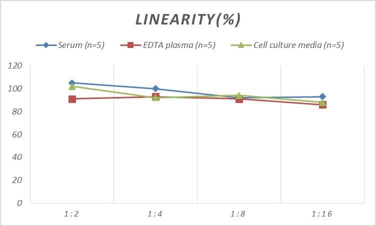 Rat IL-24 ELISA Kit (Colorimetric)