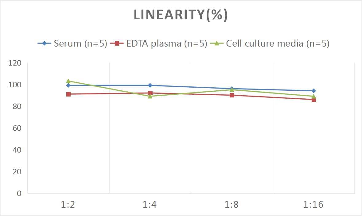 Human IL-27 ELISA Kit (Colorimetric)