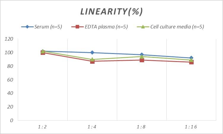 Rat IL-27 ELISA Kit (Colorimetric)