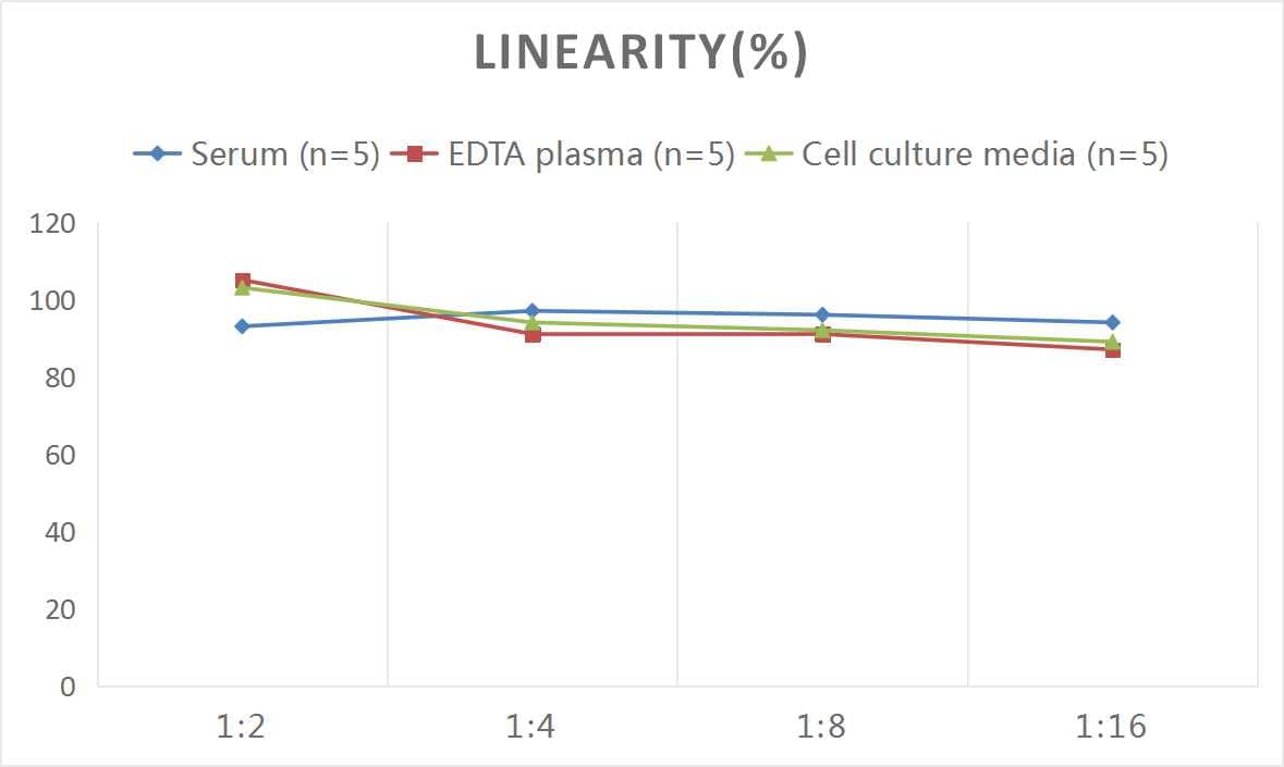 Human IL-28B/IFN-lambda 3 ELISA Kit (Colorimetric)