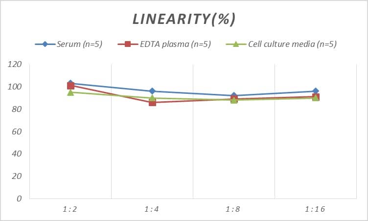 Human IL-2 R beta ELISA Kit (Colorimetric)