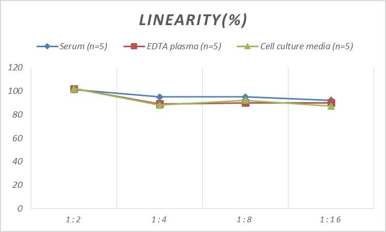 Rat IL-2 R beta ELISA Kit (Colorimetric)