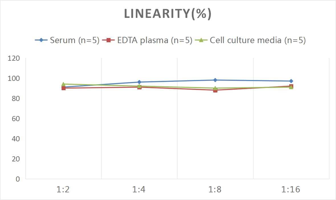 Mouse IL-11 ELISA Kit (Colorimetric)