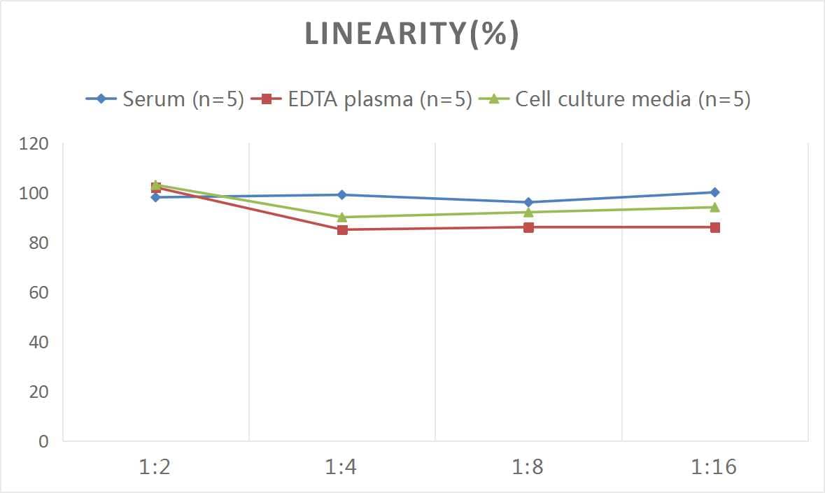 Rat IL-11 ELISA Kit (Colorimetric)