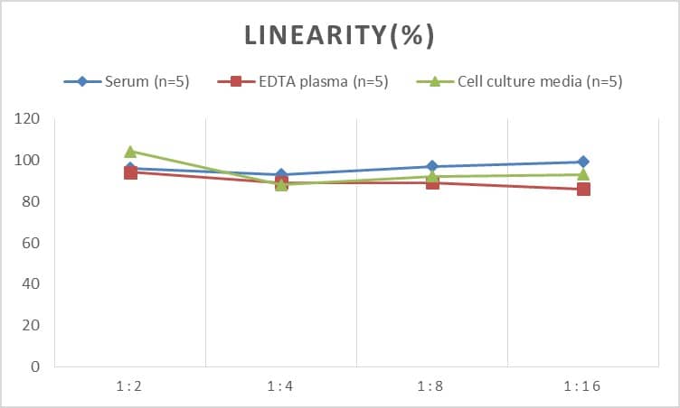 Rat IL-15 ELISA Kit (Colorimetric)