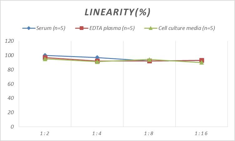 Mouse IL-19 ELISA Kit (Colorimetric)