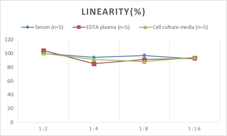 Rat IL-19 ELISA Kit (Colorimetric)