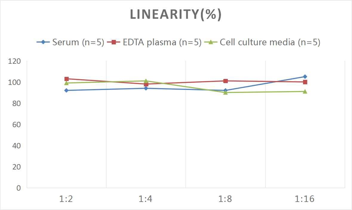 Human TWEAK/TNFSF12 ELISA Kit (Colorimetric)