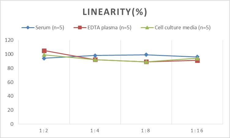 Human Twist-1 ELISA Kit (Colorimetric)