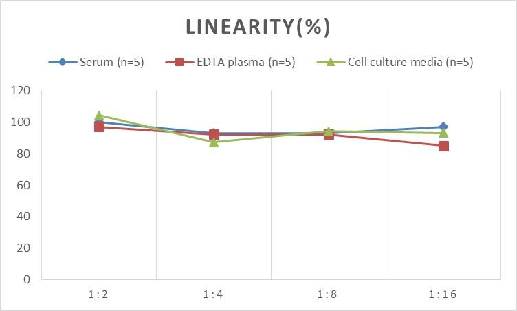 Human Calretinin ELISA Kit (Colorimetric)