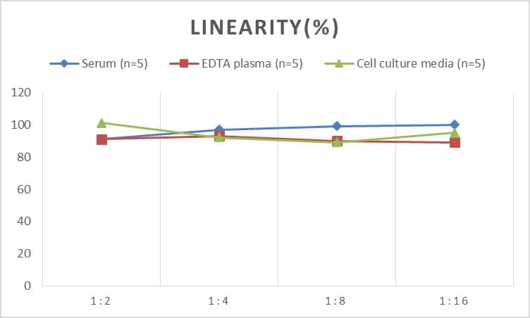 Mouse Calretinin ELISA Kit (Colorimetric)