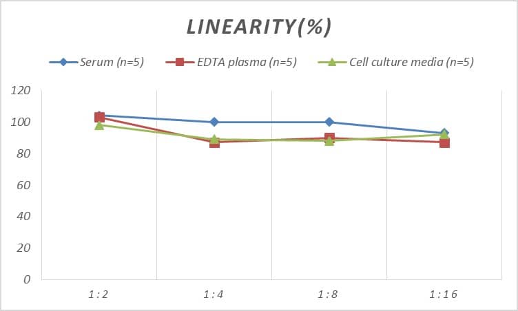 Rat Calretinin ELISA Kit (Colorimetric)