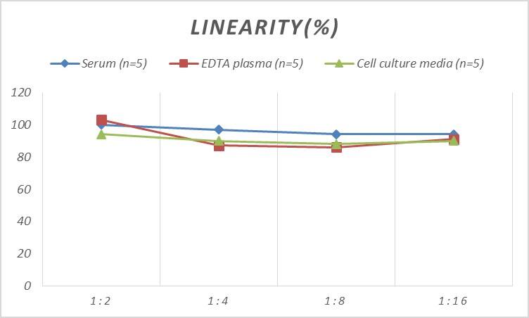 Rat IFI16 ELISA Kit (Colorimetric)