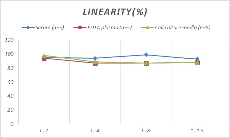 Mouse IFN-alpha 4 ELISA Kit (Colorimetric)