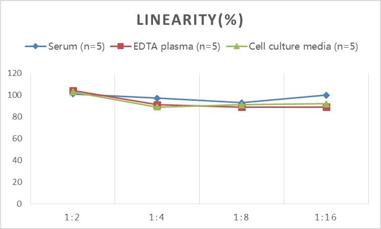 Mouse IFN-gamma R1/CD119 ELISA Kit (Colorimetric)