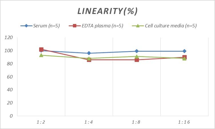 Rat Calreticulin ELISA Kit (Colorimetric)