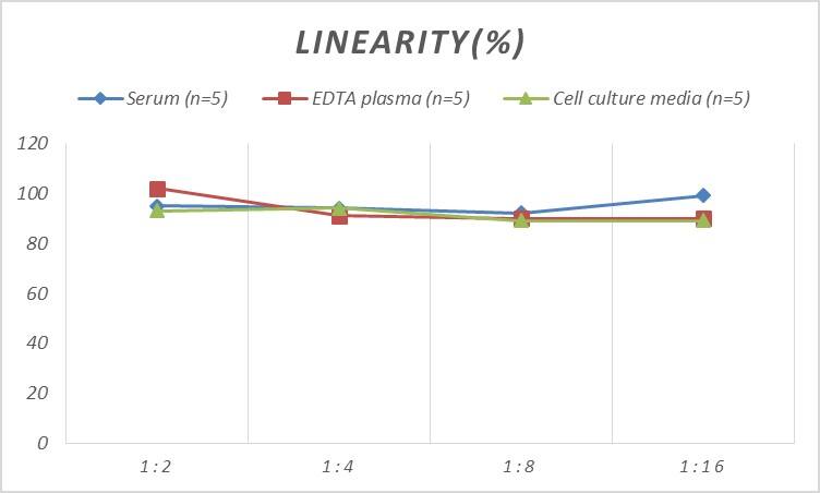 Rat Cardiotrophin-1/CT-1 ELISA Kit (Colorimetric)