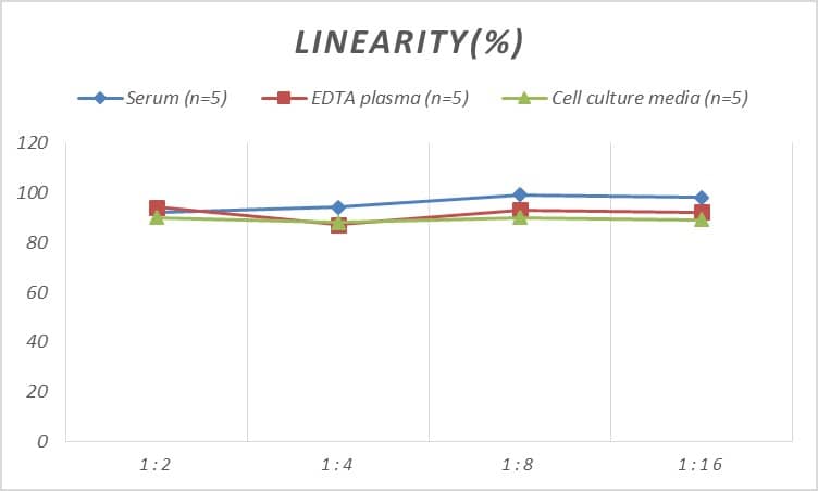 Human Calcitonin R ELISA Kit (Colorimetric)