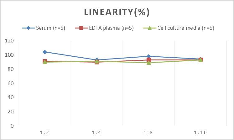 Mouse Calcitonin R ELISA Kit (Colorimetric)