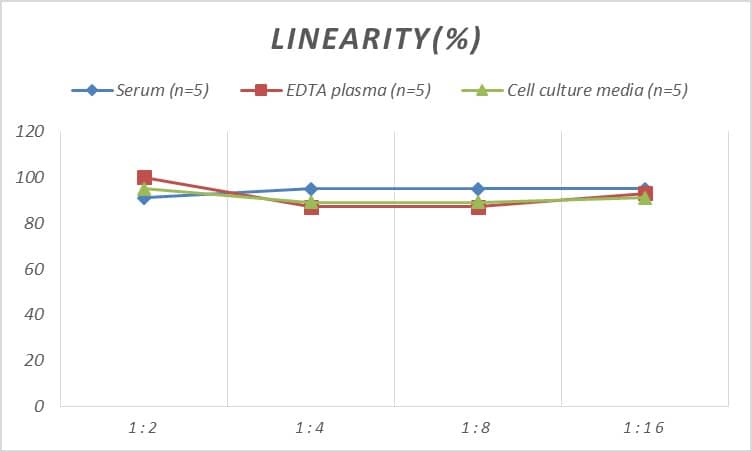 Rat CCL27/CTACK ELISA Kit (Colorimetric)