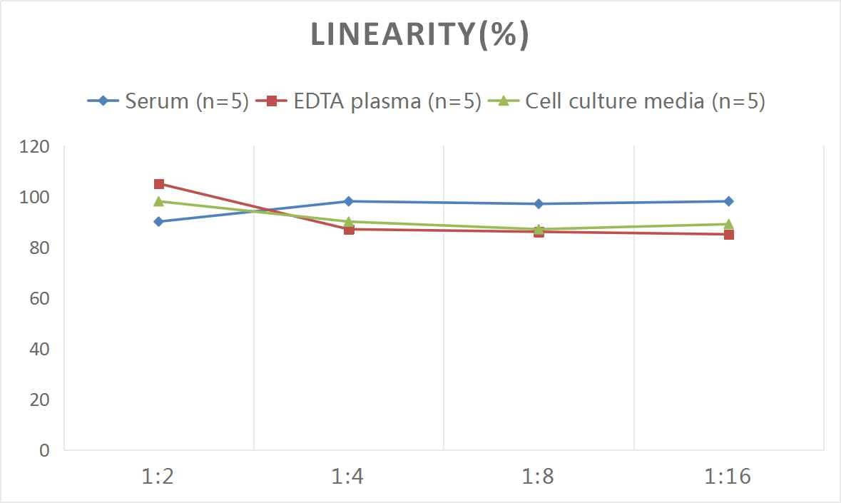 Rat CX3CL1/Fractalkine ELISA Kit (Colorimetric)