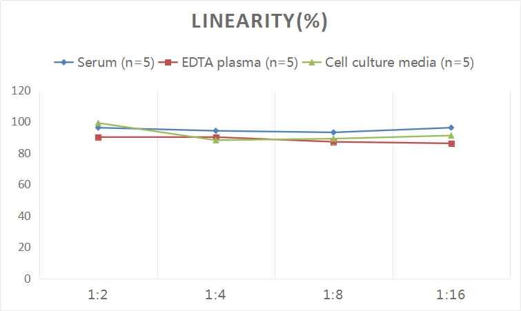 Human CX3CR1 ELISA Kit (Colorimetric)