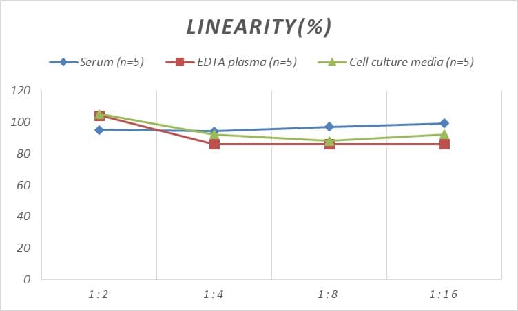 Rat CX3CR1 ELISA Kit (Colorimetric)