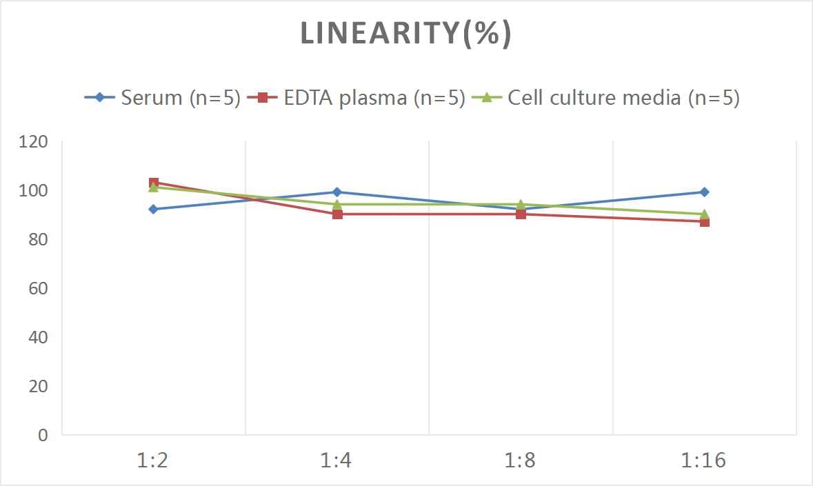 Human CXCR2/IL-8RB ELISA Kit (Colorimetric)