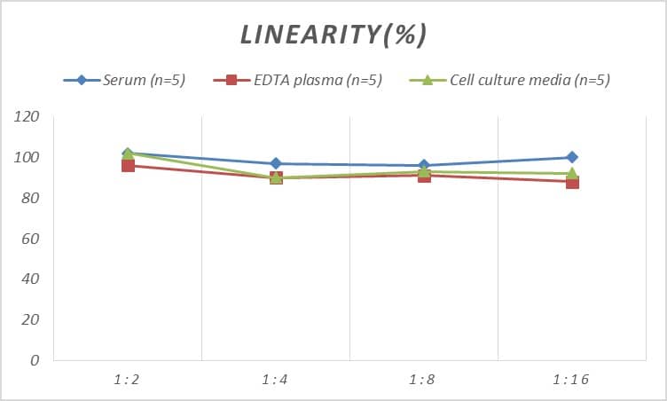 Rat CXCR3 ELISA Kit (Colorimetric)