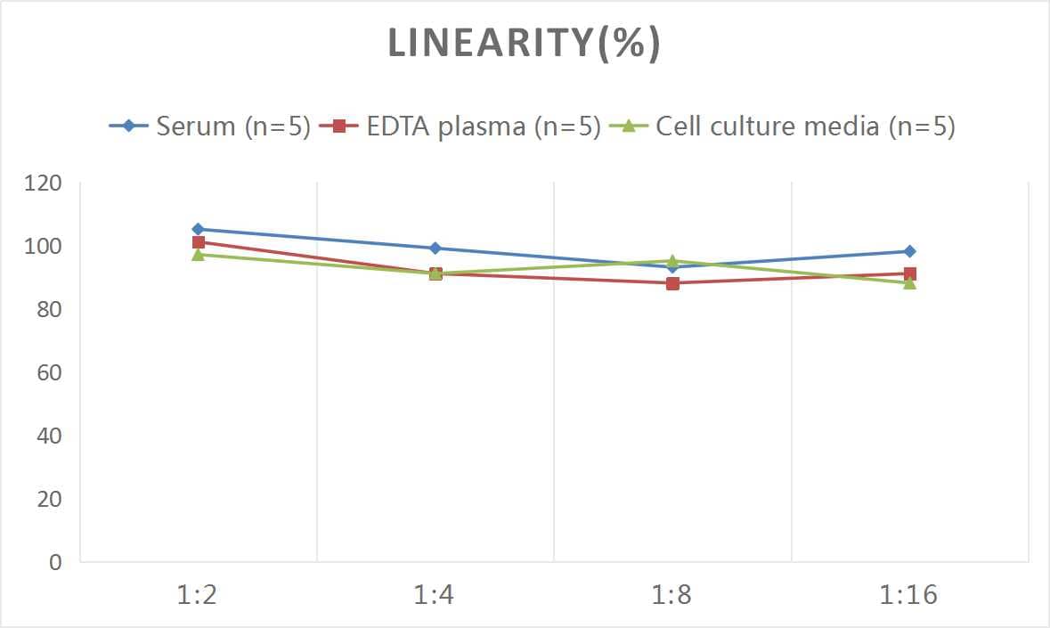 Human CXCR4 ELISA Kit (Colorimetric)