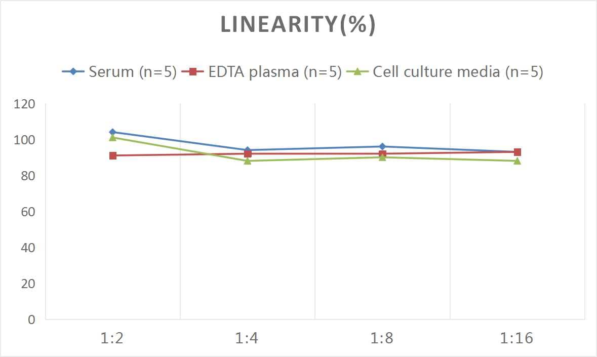 Mouse Cyclophilin A ELISA Kit (Colorimetric)