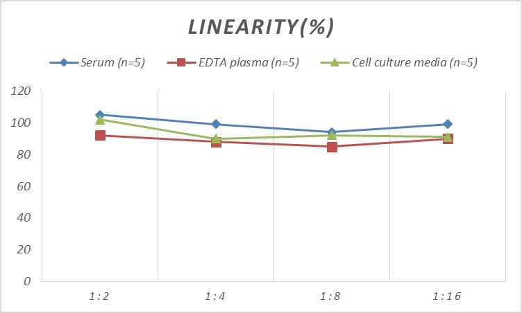 Rat Cyclophilin A ELISA Kit (Colorimetric)