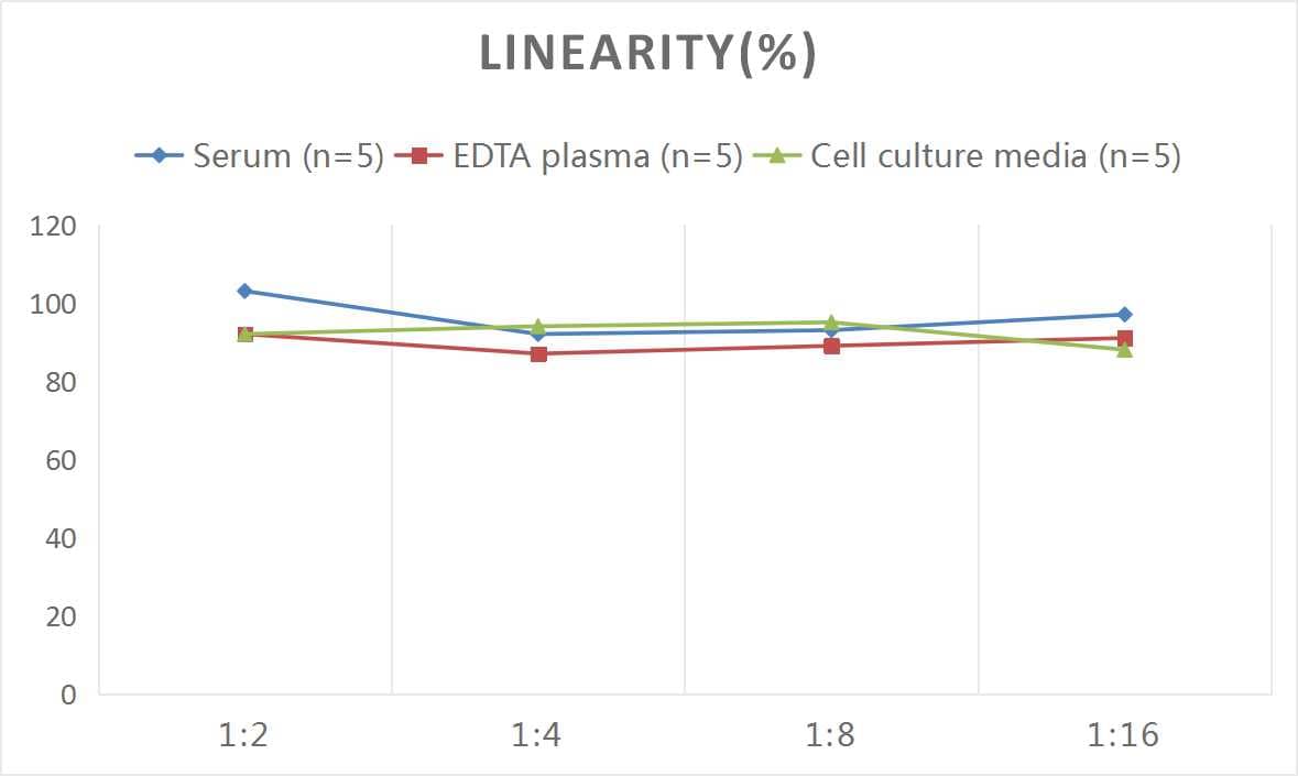 Human Cyclophilin B ELISA Kit (Colorimetric)