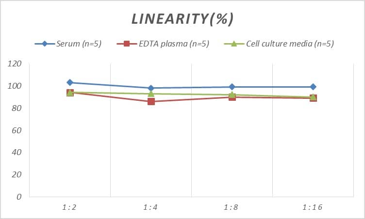 Mouse Cyclophilin B ELISA Kit (Colorimetric)