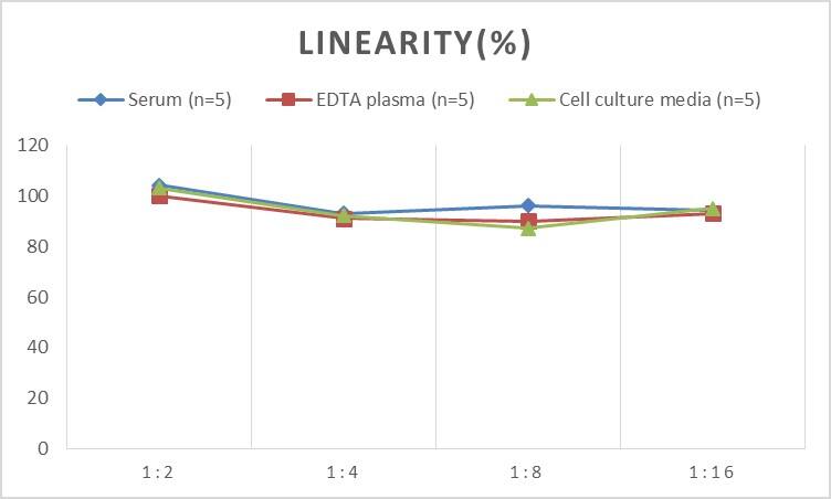 Rat Cyclophilin B ELISA Kit (Colorimetric)