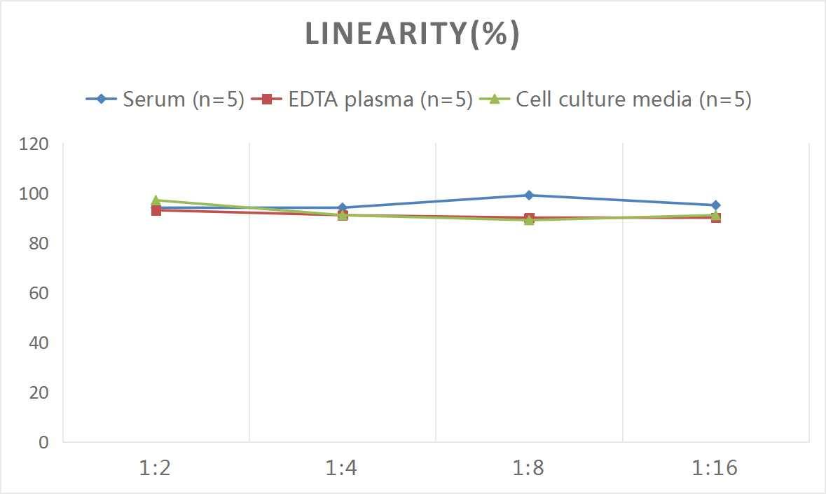 Human Cyclophilin 40 ELISA Kit (Colorimetric)