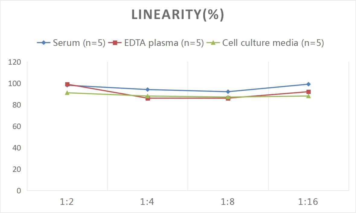 Mouse Angiopoietin-like Protein 4/ANGPTL4 ELISA Kit (Colorimetric)