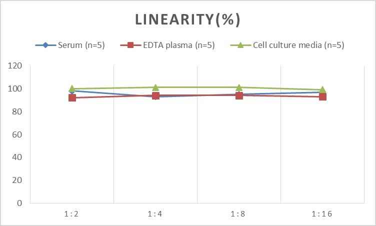 Rabbit IL-17/IL-17A ELISA Kit (Colorimetric)