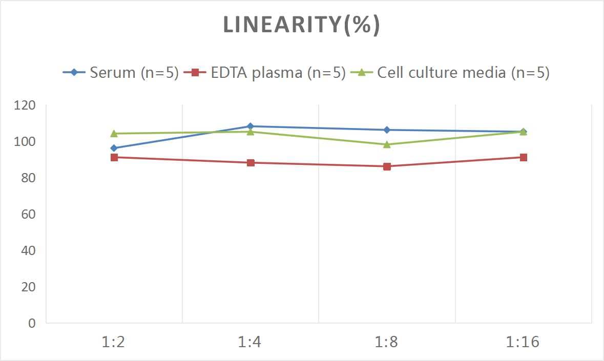 Rat IL-16 ELISA Kit (Colorimetric)