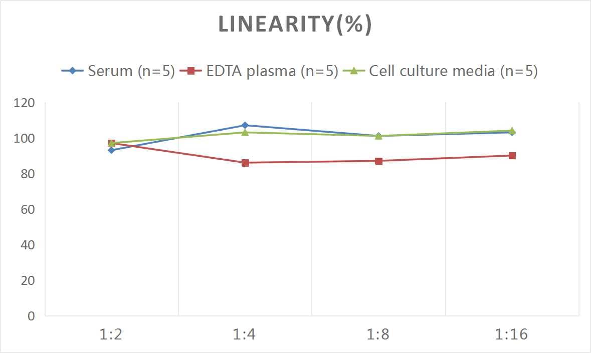 Mouse MMP-1 ELISA Kit (Colorimetric)