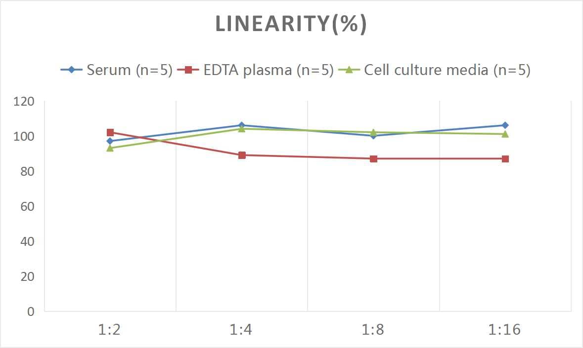 Rat MMP-1 ELISA Kit (Colorimetric)